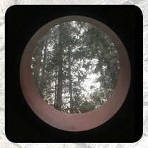 Moonlit Missive #84: The Trees Out My Window cover art