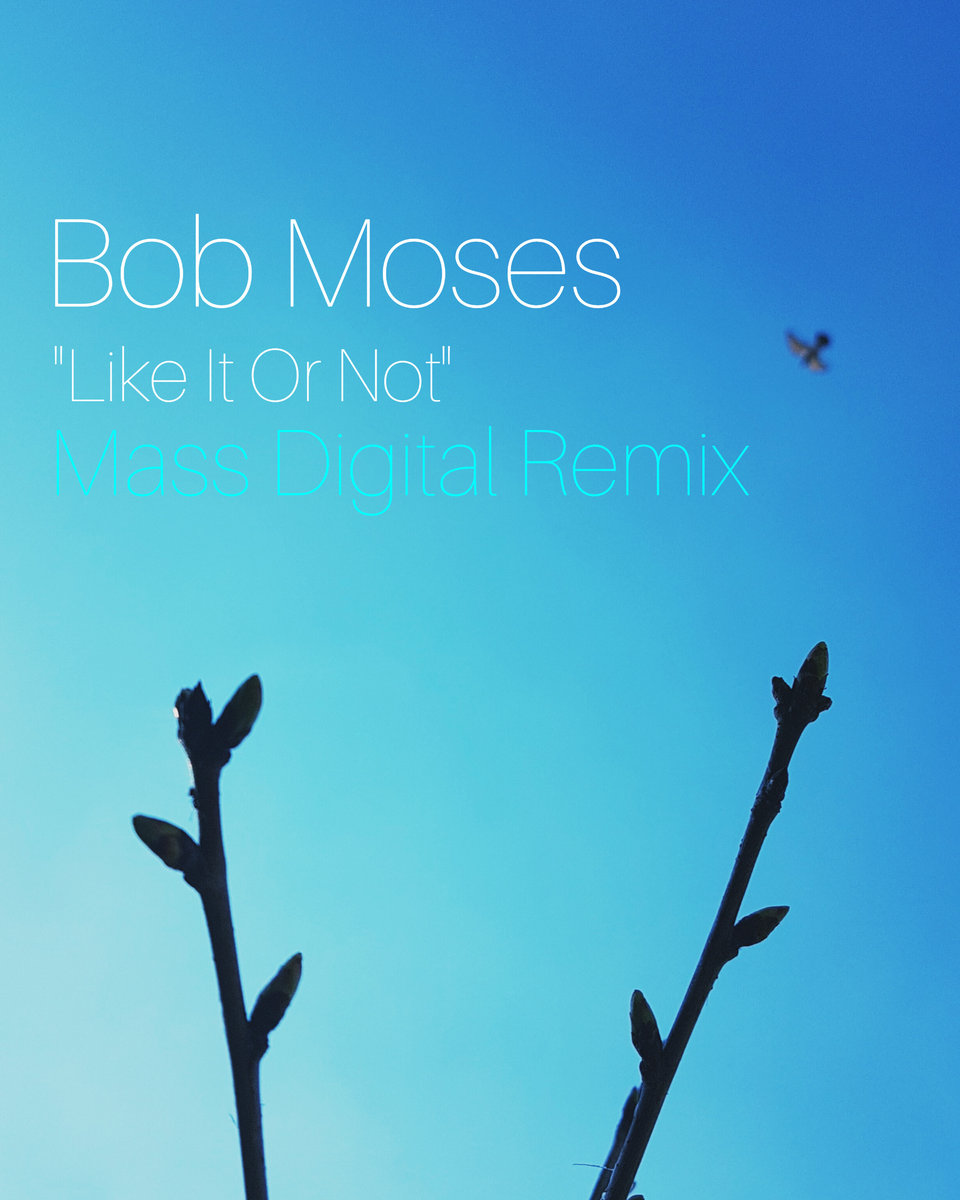 Bob Moses - Like It Or Not (Mass Digital Remix)