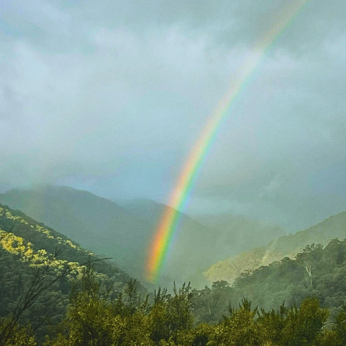 En Brigade Inside: The Betrayal Fill Your Soul With Shocking Reality