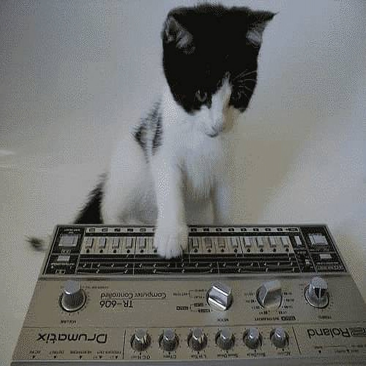 声ネタで遊んでみた Ableton Live Demo 006 Noinoinoise