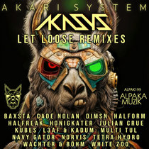 Various Artists — Akari System - Let Loose Remixes [Contest Winners]