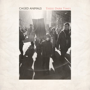 These Dark Times cover