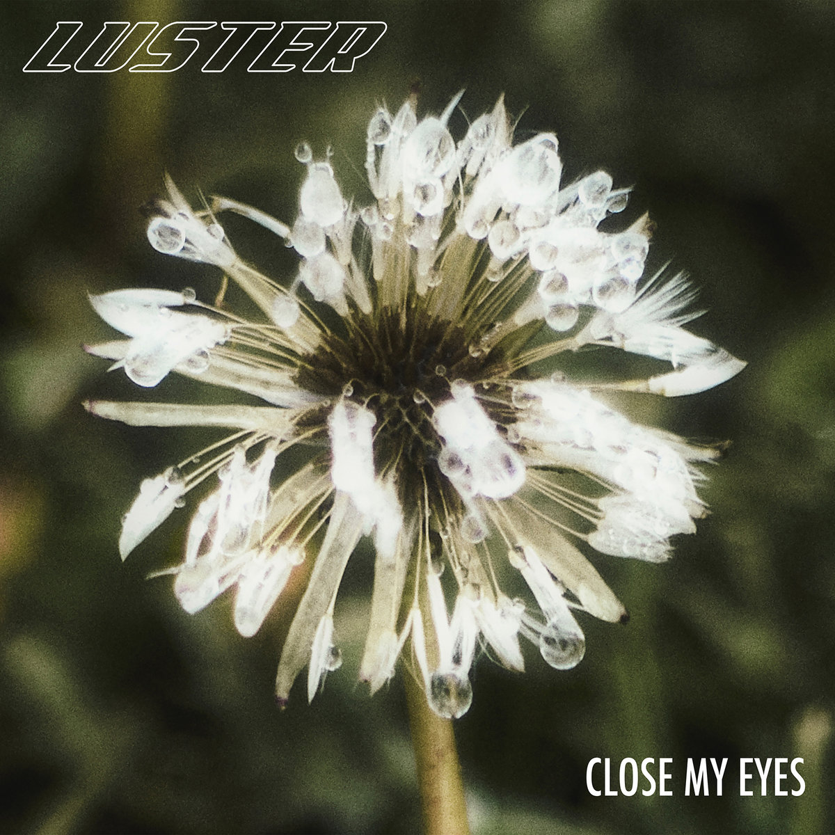 Close My Eyes