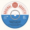 Twenty Flight Ska
