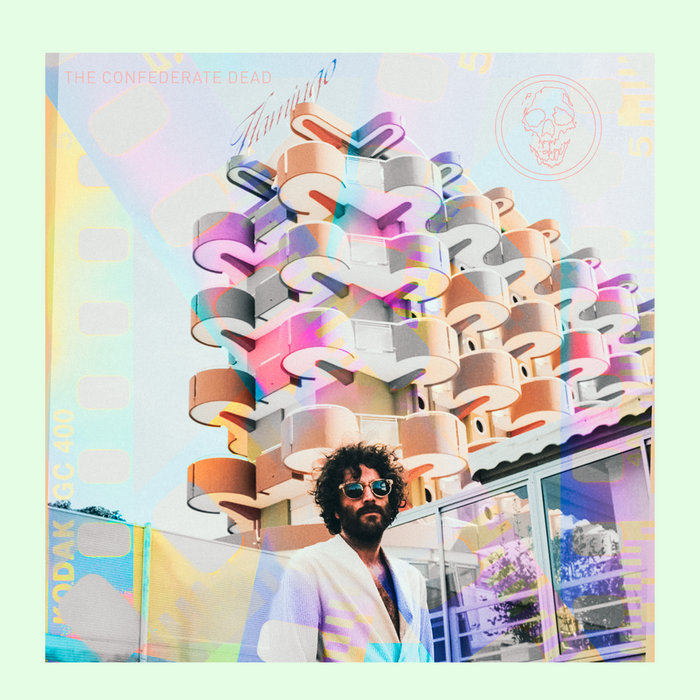 Flamingo | The Confederate Dead