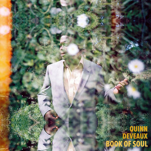 Book Of Soul cover