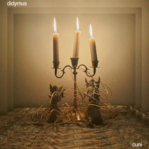 didymus cover