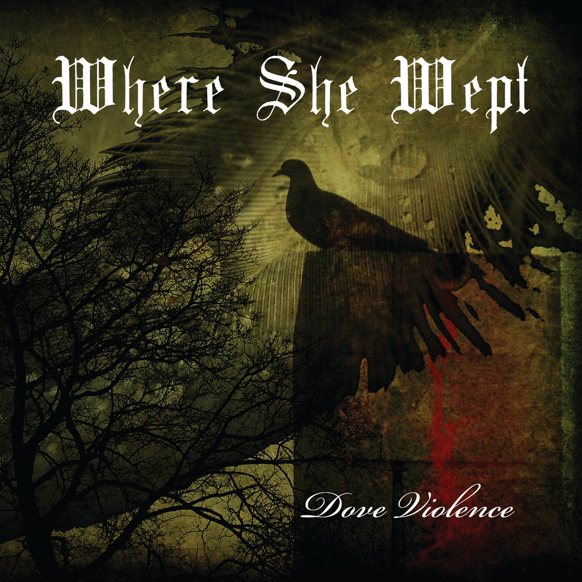 dove scaricare cover cd