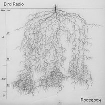 RootstooЯ (Flute Loop Archive) cover art