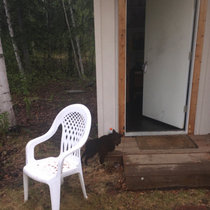 Hung Traps | CainTheBoss