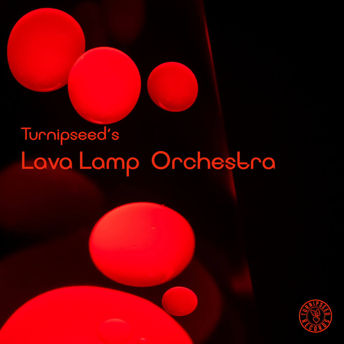 Turnipseed's Lava Lamp Orchestra Turnipseed's Lava Lamp Orchestra