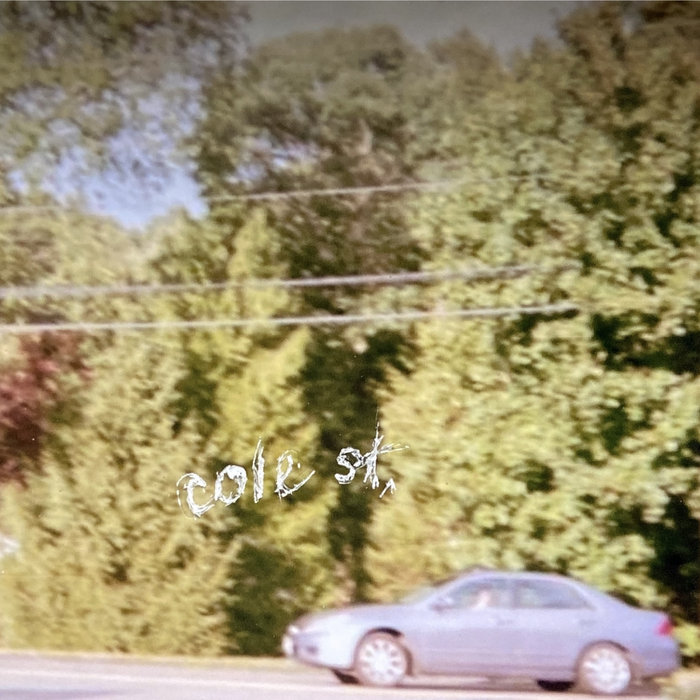 Cole St. | Dogs on Shady Lane