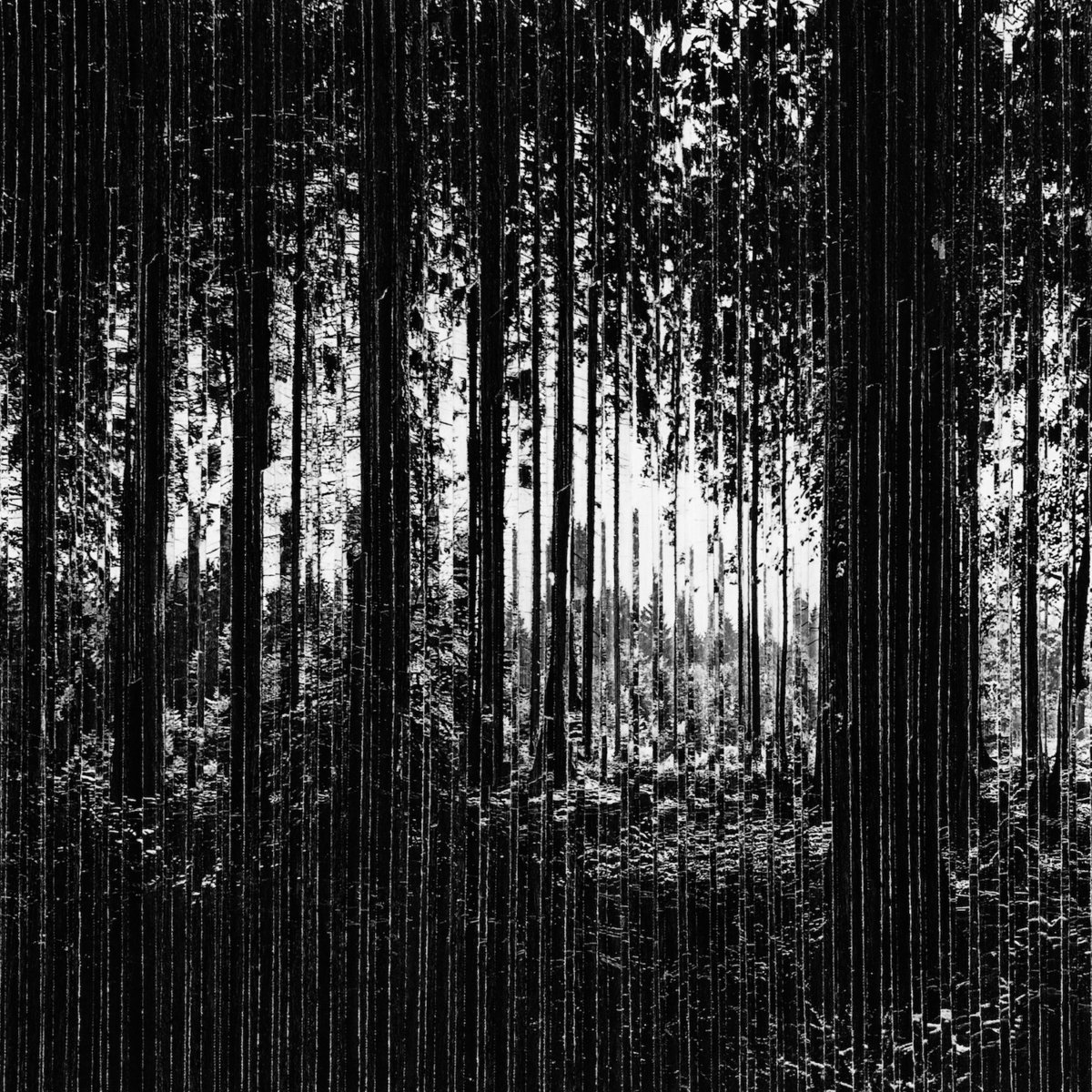 Harmonics | Eartaker | Bedouin Records