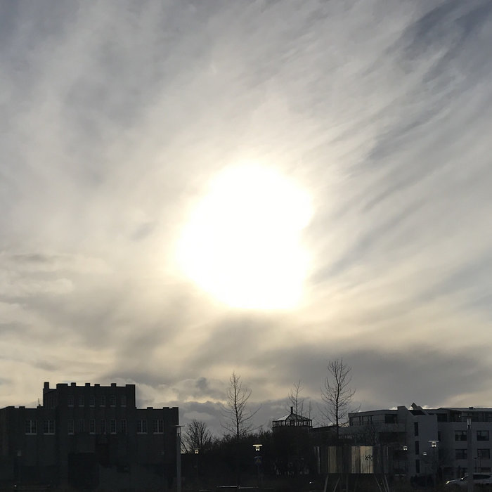 Flower In My Heart Henry Nagle