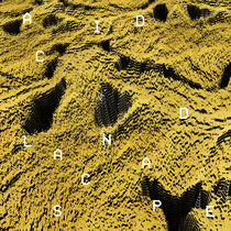 Acid Landscape LP cover art