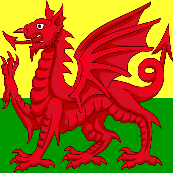 Gwynfryn EP. One Style MDV