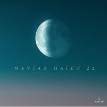 Naviar Haiku 22 cover art