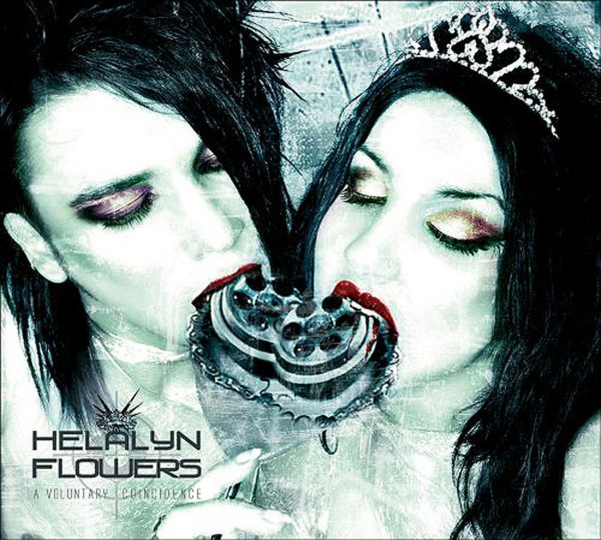 A Voluntary Coincidence [Deluxe Edition] | Helalyn Flowers