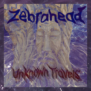 Unknown Travels cover