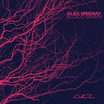 ★  BLOOD レコード 7\" OZARKS - Seven Blood-Stained Orchids 7