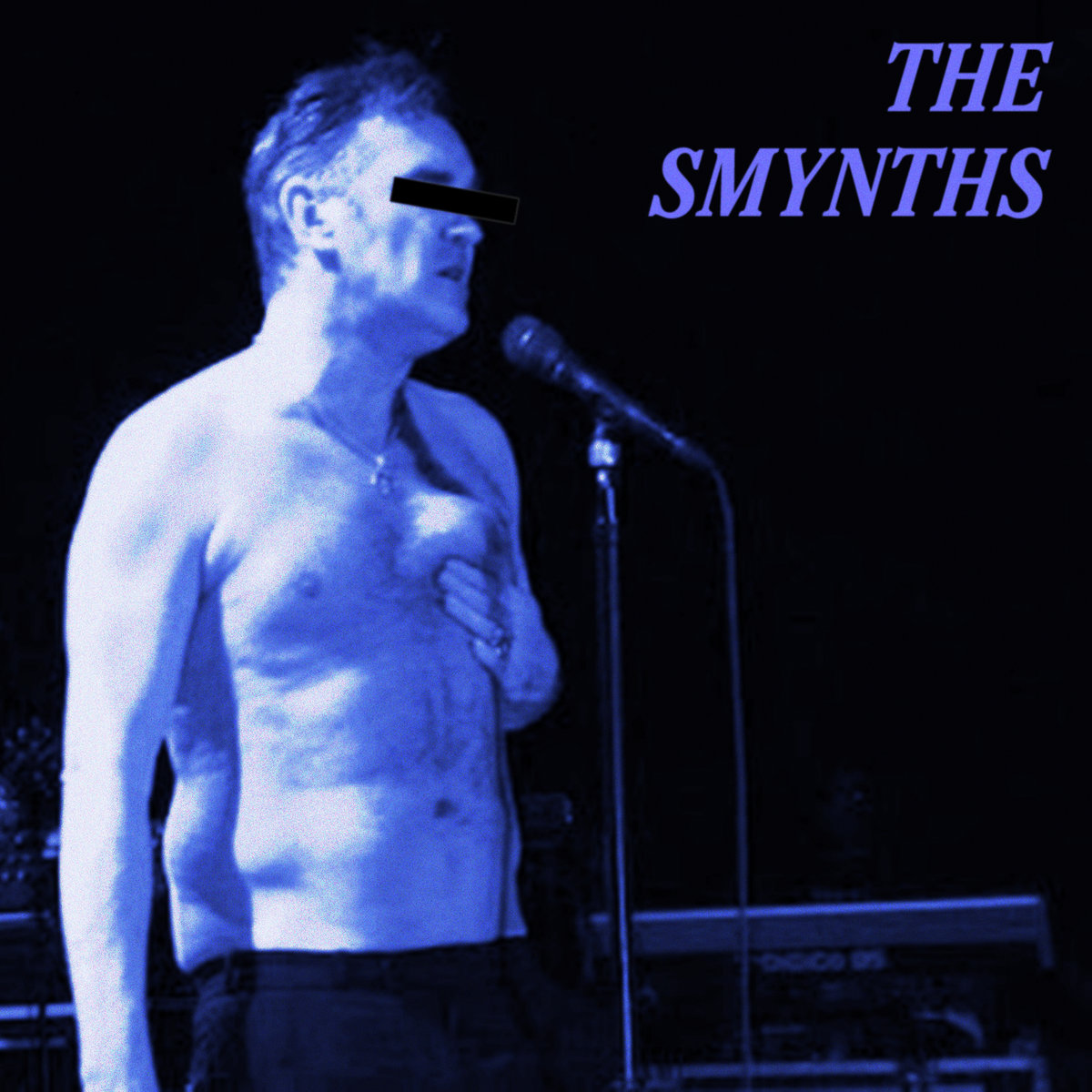 The Smynths by The Smynths