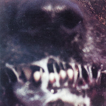 Music | Genocide