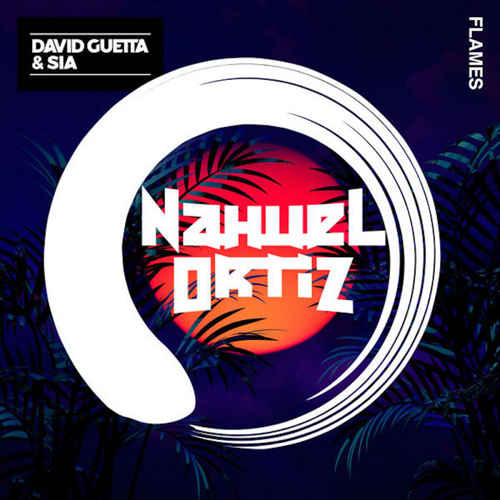David Guetta Sia Flames Nahuel Ortiz Remix Nahuel Ortiz Flames david guetta sia album cover,David Guetta Sia Flames Nahuel Ortiz Remix Nahuel Ortiz