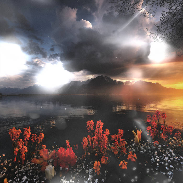 ネイティブロジック | modest by default