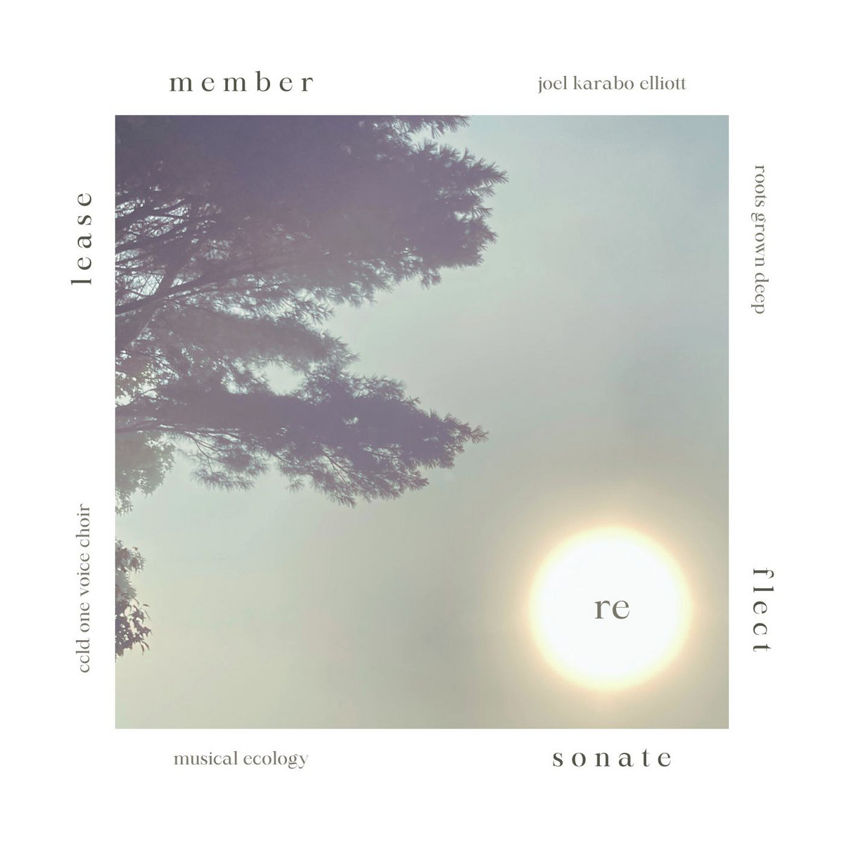 reSonate reFlect reLease reMember | Joel Karabo Elliott | Roots