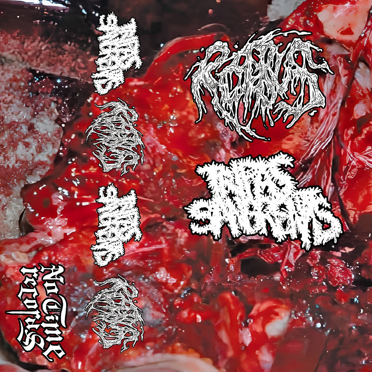 TRIPAS SANGRIETAS split | ROTBUS