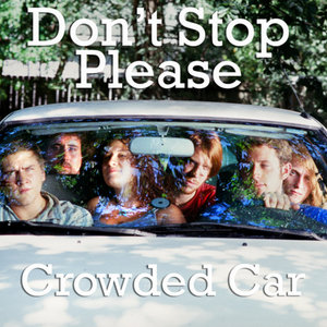 Crowded Car cover