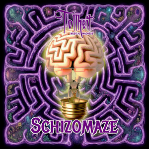 Schizomaze cover