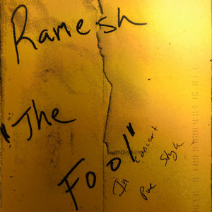 The Fool cover