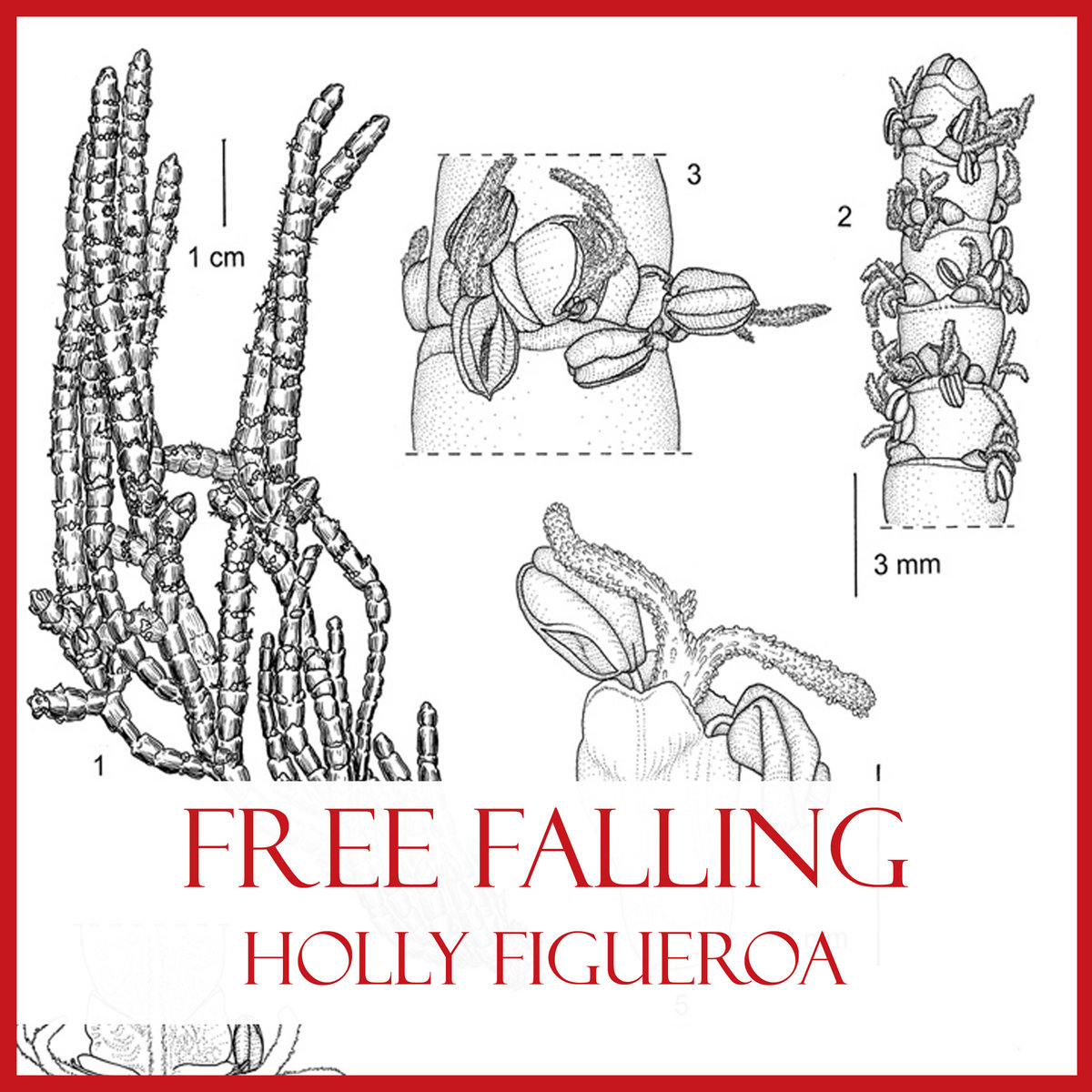 free fillin
