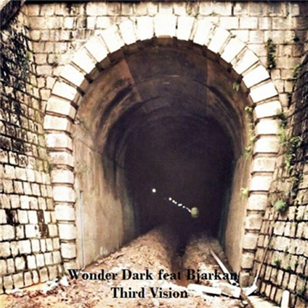 Third Vision | Wonder Dark