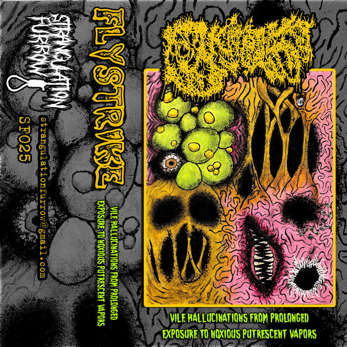 Vile Hallucinations from Prolonged Exposure to Noxious