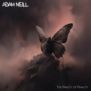 The Frailty of Finality cover