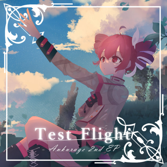 Test Flight | Ankurage