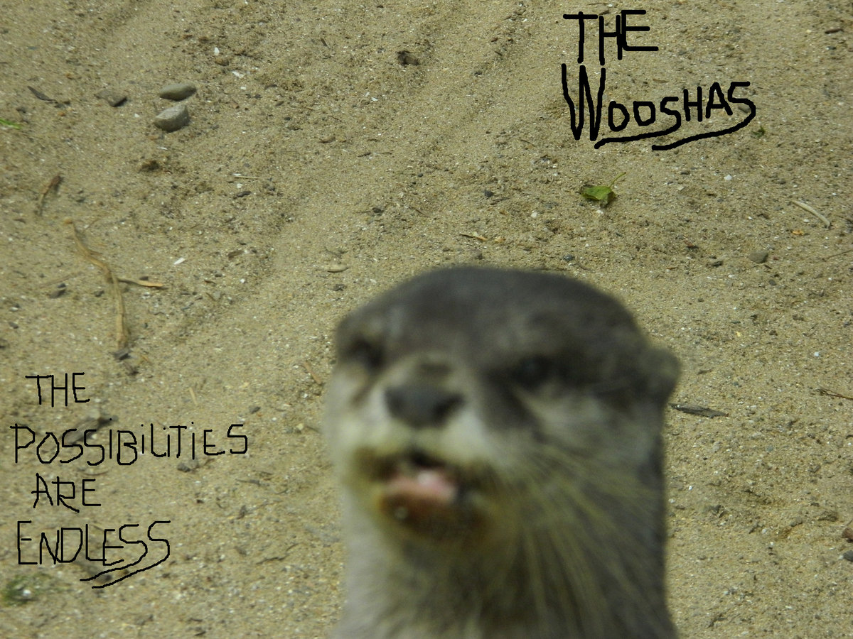 The Possibilities Are Endless cover