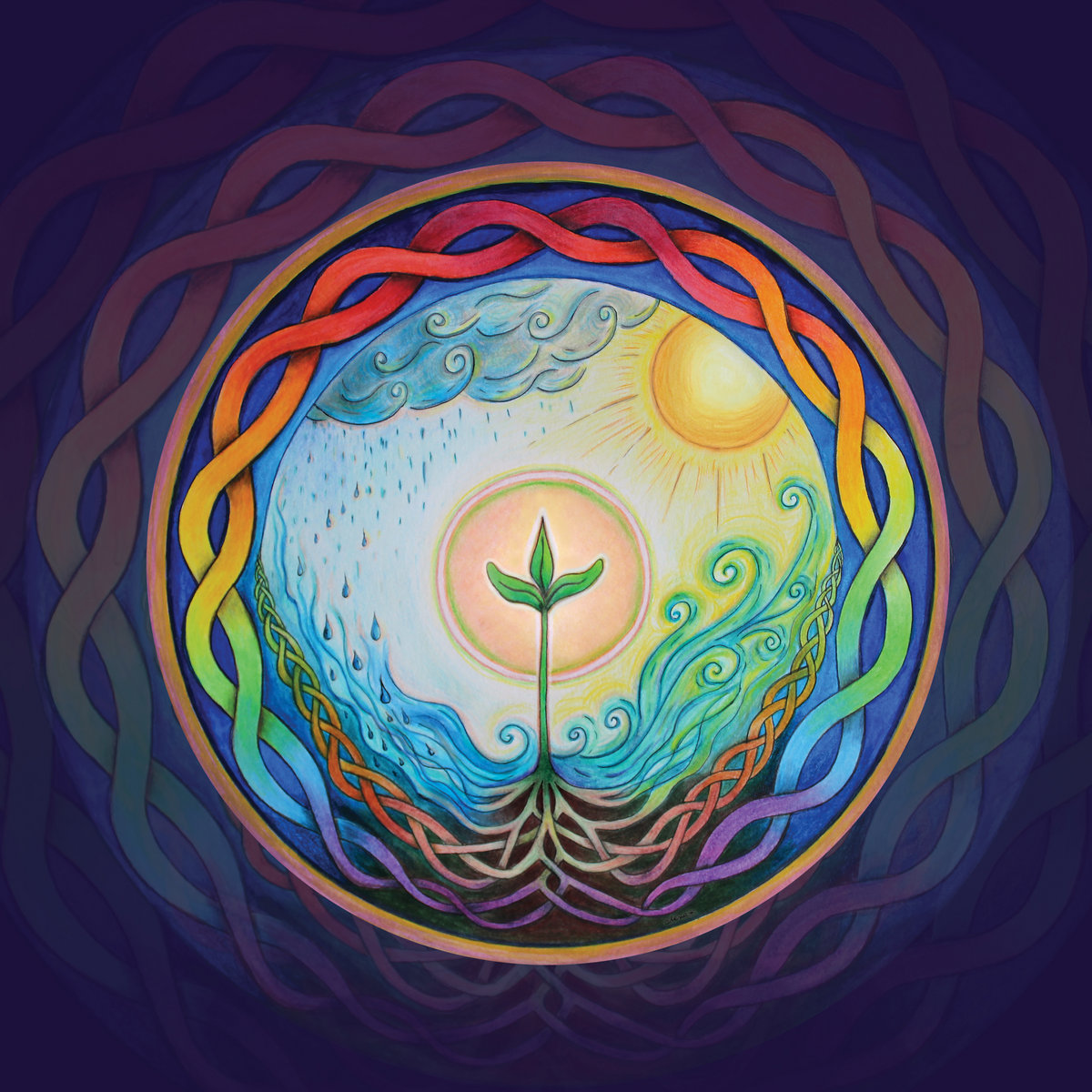 One Follow | Alexa Sunshine Rose