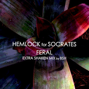 Feral - Extra Shaken Mix by BSH cover