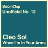 When Im In Your Arms - Cleo Sol (BoomClap Unofficial No​.​12)