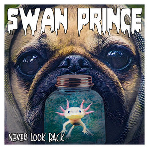 Swan Prince — Never Look Back