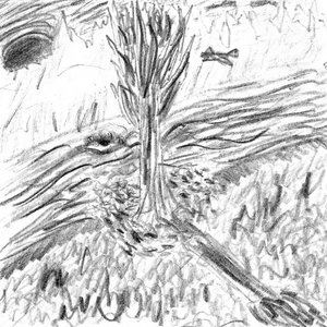 yEStErSpEctrE cover