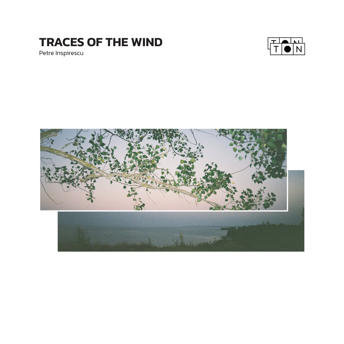 Traces of the wind | Petre Inspirescu | TON TON