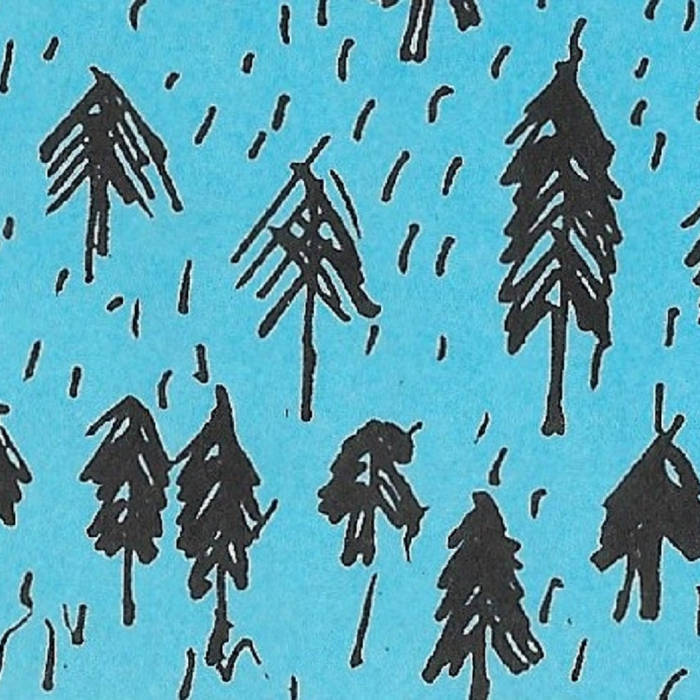 A Guide to the Beautiful Ambiance of Windy & Carl | Bandcamp