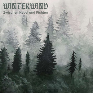 Zwischen Nebel und Fichten cover