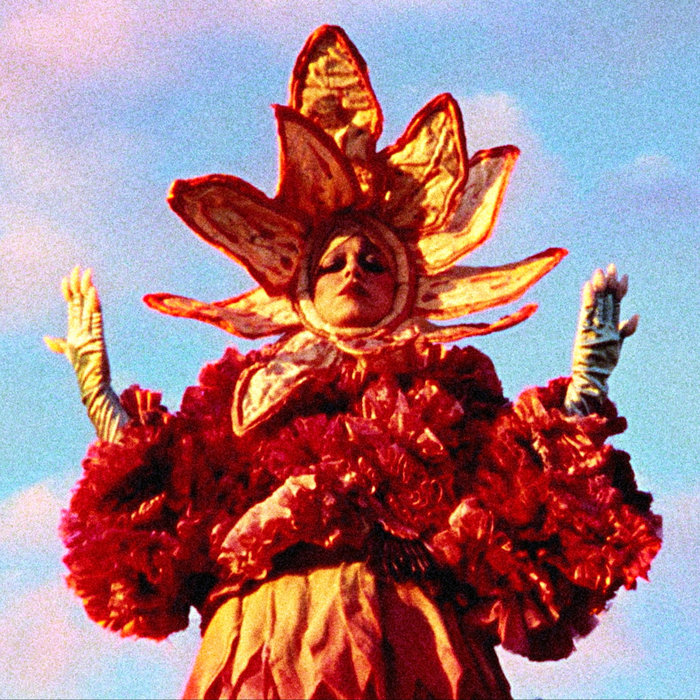 Amidst the Window Flowers House of Light