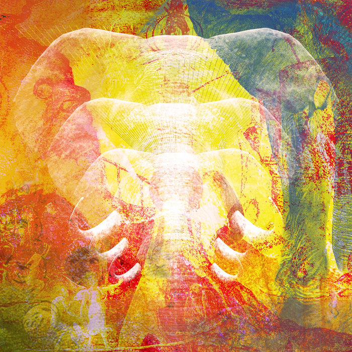 Elephants In Autumn Rage | Join The Din