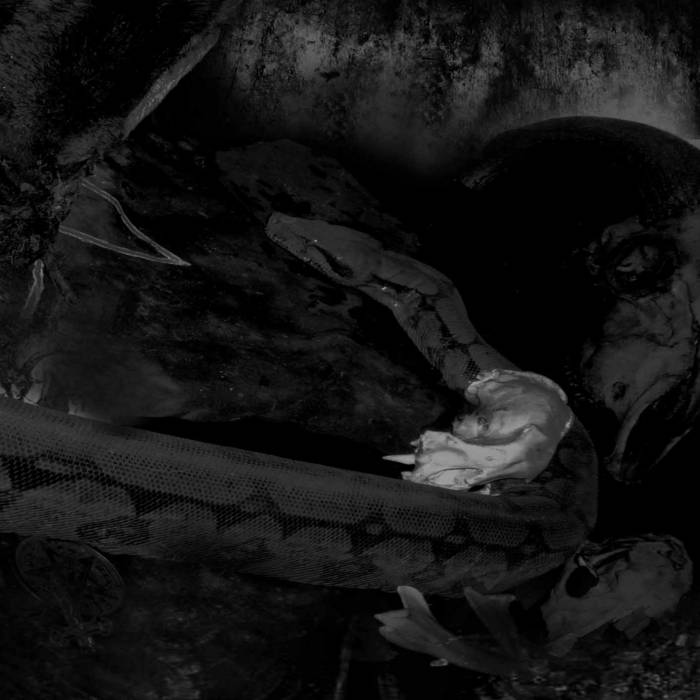 Ossos... Ódio & Angústia - debut full length album